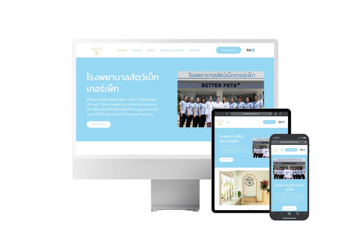 Website Development Agency in Bangkok